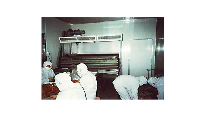 DWT系列脫水蔬菜乾燥機